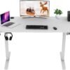 Electric Standing Desk, Height Adjustable, 55-Inch Ergonomic Sit-Stand Desk for Home Office with Memory Preset and Pencil Tray, White & Wood Finish
